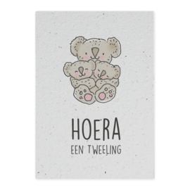 Tweeling groeikaarten