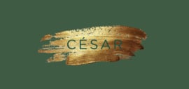 Kaartje César