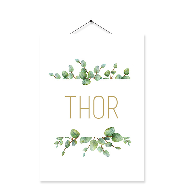 Kaartje Thor
