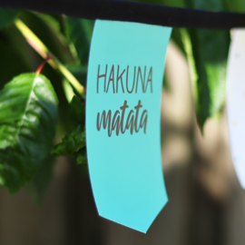 Tuinslinger - Hakuna Matata (mix)