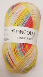 Pingo First Arlequin