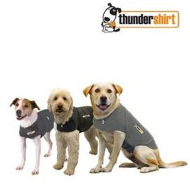 Thundershirt