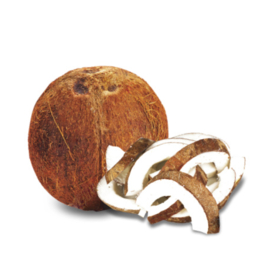 Pawfect Chrunchy Coconut Treats