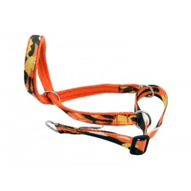 Patternz Headcollar