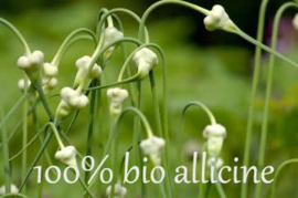 100% allicine vloeibaar 1000ppm voor dieren en gewassen  1l