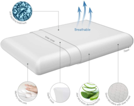 Traagschuim kussen Stevig Aloë Vera
