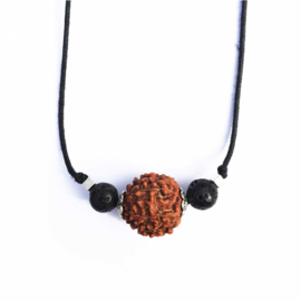 RUDRAKSHA & LAVASTEEN