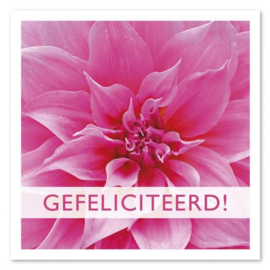 Gefeliciteerd