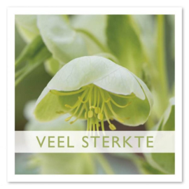 Veel sterkte