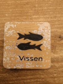 Vissen