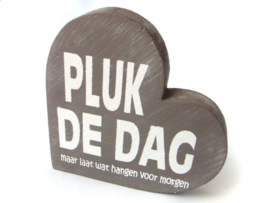 Pluk de dag