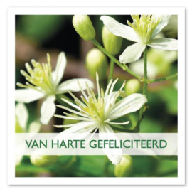 Van harte gefeliciteerd