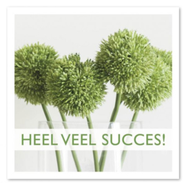 Heel veel succes