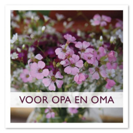 Opa en oma