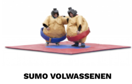 Sumo worstelen voor volwassenen