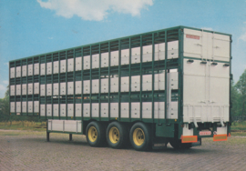 * Trailer 3 axle cattle transport, DIN A6-size postcard, Dutch issue