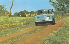 124 Sedan, standard size, Italian postcard (Sarig), about 1967