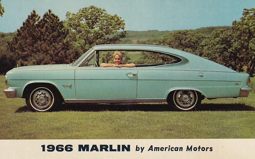 American Motors