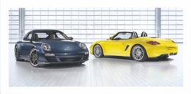 911 Carrera Coupe & Boxster,  foldcard, 2010, WSR8 1001 03S6 00