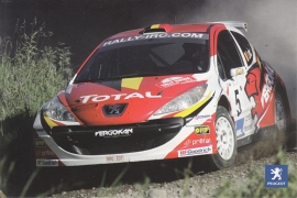 207 IRC Rallye car, A6-postcard, Belgium, 2009