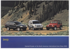 Jeep program, A6-size postcard, NAIAS 2003