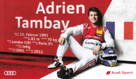 Racing driver Adrien Tambay, unsigned postcard 2015 season, German language