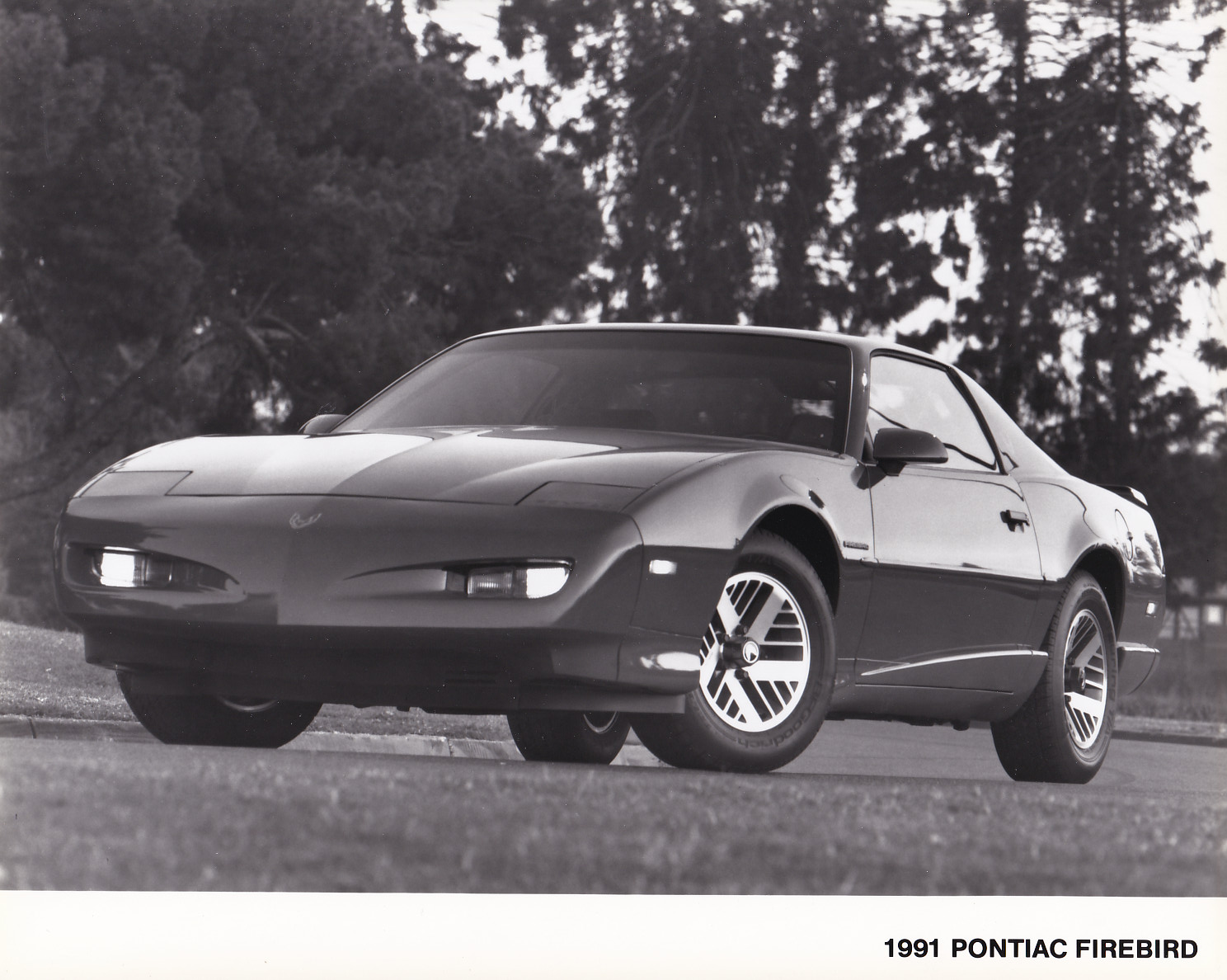 Pontiac Firebird - large press photo - USA - 1991