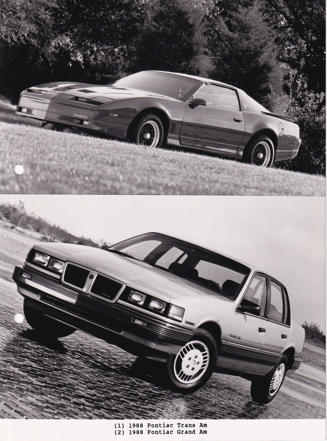 Pontiac Trans Am & Grand Am - press photo - USA - 1988