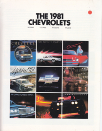 Program all models 1981, 12 pages, English language, USA