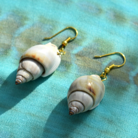 Earring Capri shell