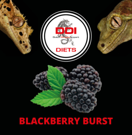 DDI Diets Gekko Blackberry Burst 60gr