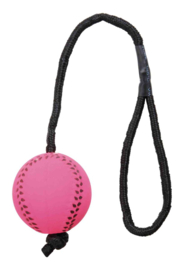 Trixie Sportbal aan Touw 3x3x60cm