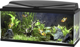 Ciano Aquarium 80 LED - 80x30x41,5cm €169,-