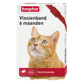 Vlooienband Kat Rood 1st