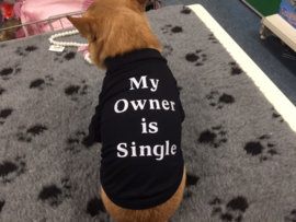 T-Shirt 'My Owner is Single' €5,-