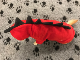 Trui Dinosaurus €12,50