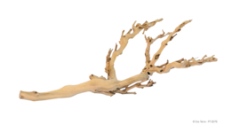 Exo Terra Forest Branch Medium - 45cm