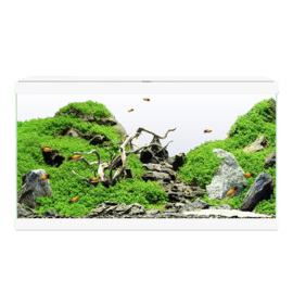 Ciano Aquarium 60 LED Wit - 60x30x41cm €129,-