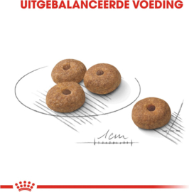 Royal Canin Sterilised Mini - Hondenvoer - 3 kg