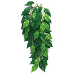 Exo Terra Jungle Plant Ficus Silk - Large - 50cm