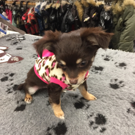 Trui luipaard met roze strik €8,95