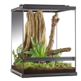 Exo Terra Frog Terrarium 45x45x60cm - Boomkikker