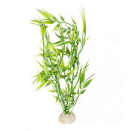 Plant Bamboo M 27cm