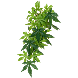 Exo Terra Jungle Plant Abutilon Silk - Small - 30cm
