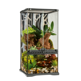 Exo Terra Terrarium incl. achterwand 30x30x60cm - Rainforest / Paludarium