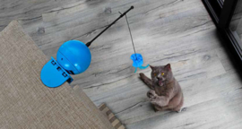 Coockoo Foxy - Elektronisch Kattenspeelgoed