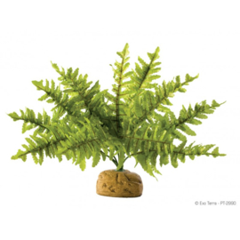 Exo Terra Boston Fern - Small - 6,5x5x21cm