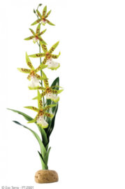 Exo Terra Spider Orchid - 40cm - 6,5x5x58,5cm