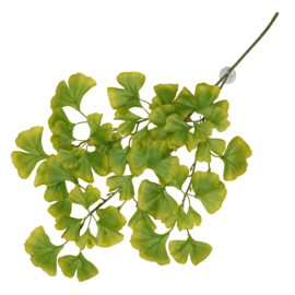 Hangende Plant Ginko Groen