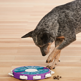 Nina Ottosson Hondenspel Dog Twister